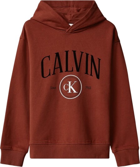 Calvin Klein Calvin Ck Circle Hoodie Brown 152 x 12
