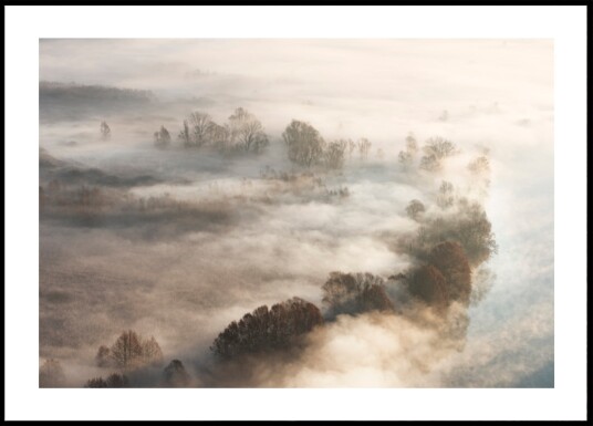 Golden Foggy Trees Plakat / 21x30 Golden Foggy Trees Plakat / 21x30