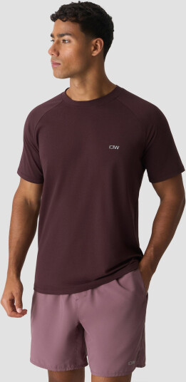 ICIW Workout Raglan Tee Brun S