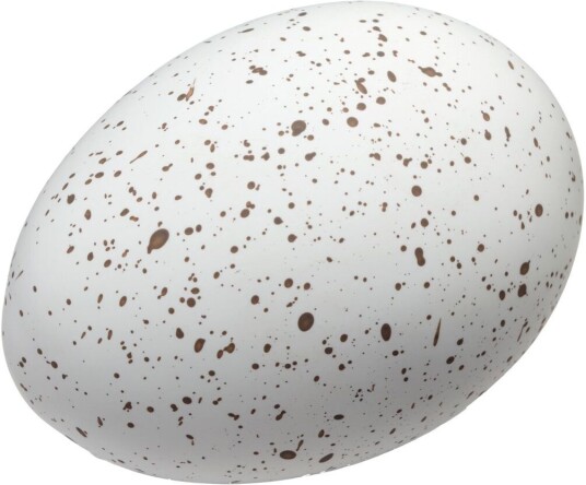 Cooee Design Easter Deco egg 2 pk White Cooee Design Easter Deco egg 2 pk White