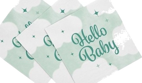 Hello Baby Servietter Mint 20 Stk Hello Baby Servietter Mint 20 Stk