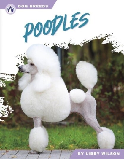 Dog Breeds: Poodles Dog Breeds: Poodles