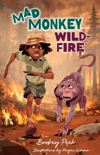 Mad Monkey and the Wildfire Mad Monkey and the Wildfire