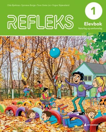 Refleks 1 Av Oda Bjerknes, Synnøve Borge, Tove Grete Lie, Yngve Skjæveland