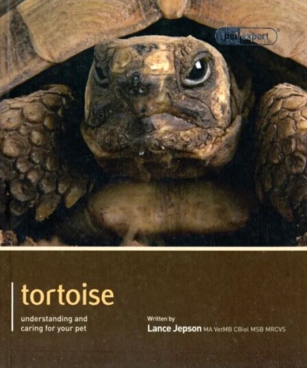 Tortoise - Pet Expert Av Lance Jepson