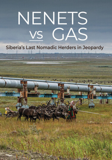 Nenets Vs Gas: Siberia's Last Nomadic Herders In DVD