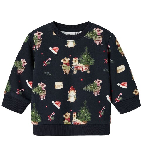 Name It Baby Collegegenser Nbnrenu LS Sweat Bru Blå Name It Baby Collegegenser Nbnrenu LS Sweat Bru Blå