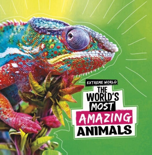 The World'S Most Amazing Animals Av Cari Meister