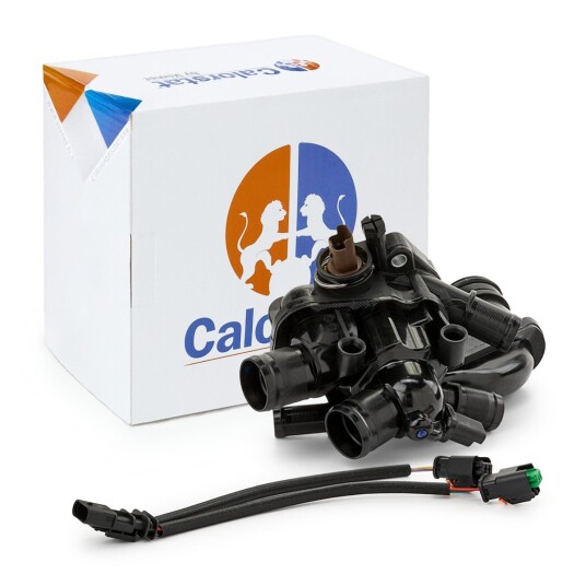 Termostat CALORSTAT by Vernet TE2110.105J Termostat CALORSTAT by Vernet TE2110.105J