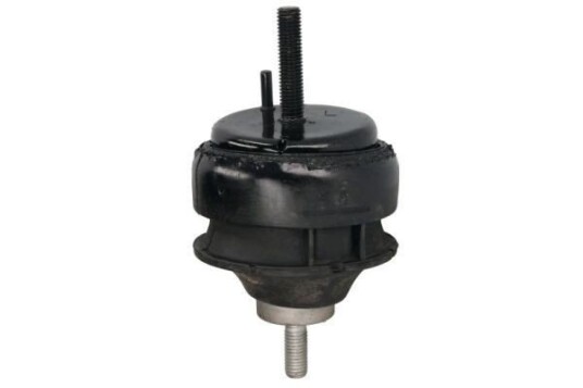 Motorfeste REINHOCH RH11-4022