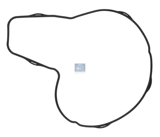 DT Spare Parts 2.15911 Pakning vannpumpe