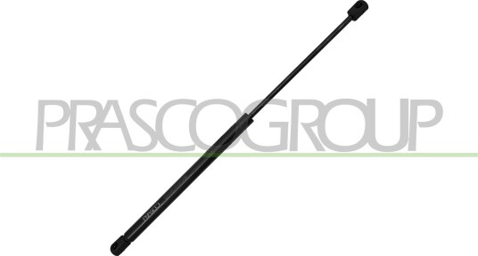 PRASCO MN3089055 Baklukedemper