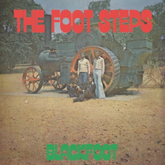 Foot Steps Vinyl
