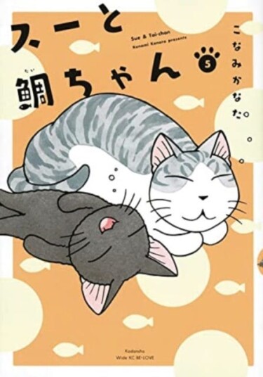Sue & Taichan 5