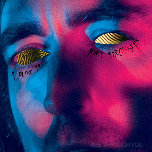 A Place To Bury Strangers See Through You Kassett