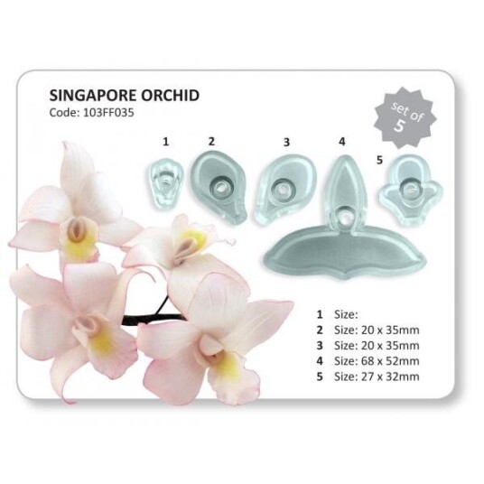 Singapore Og Baby Orchid Set Of 8 
