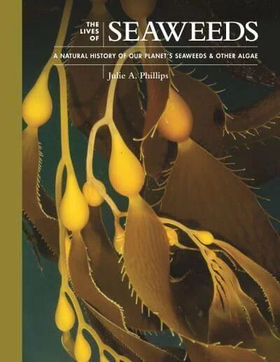 The Lives Of Seaweeds Av Julie A. Phillips The Lives Of Seaweeds Av Julie A. Phillips