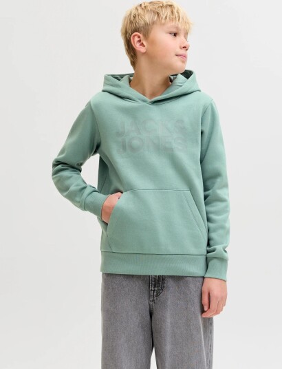 Jack & Jones Jjecorp Logo Sweat Hood Noos Jnr Blue 164