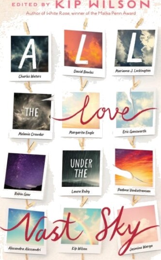All the Love Under the Vast Sky
