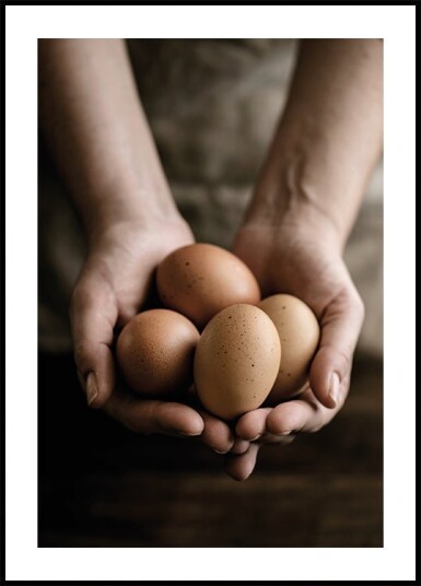 Organic Farm Eggs Plakat Plakat / 50x70cm