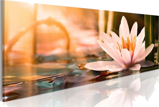 Bilde Beautiful Lotus 135x45 Artgeist sp. z o. o.