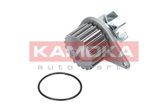 KAMOKA T0078 Vannpumpe