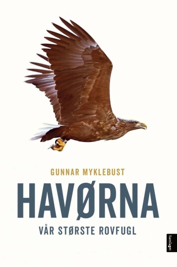 Havørna Av Gunnar Myklebust