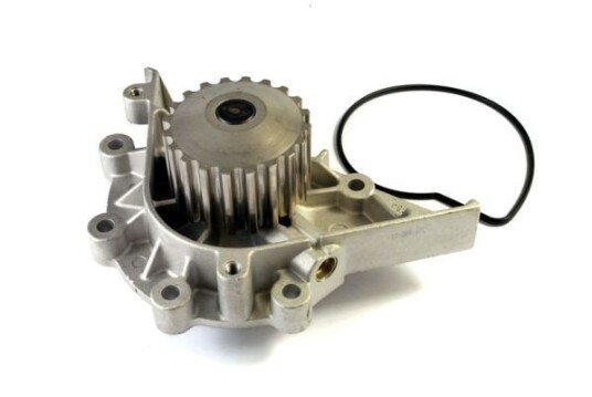 THERMOTEC D1P040TT Vannpumpe THERMOTEC D1P040TT Vannpumpe
