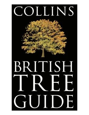 Collins British Tree Guide Av Owen Johnson, David More