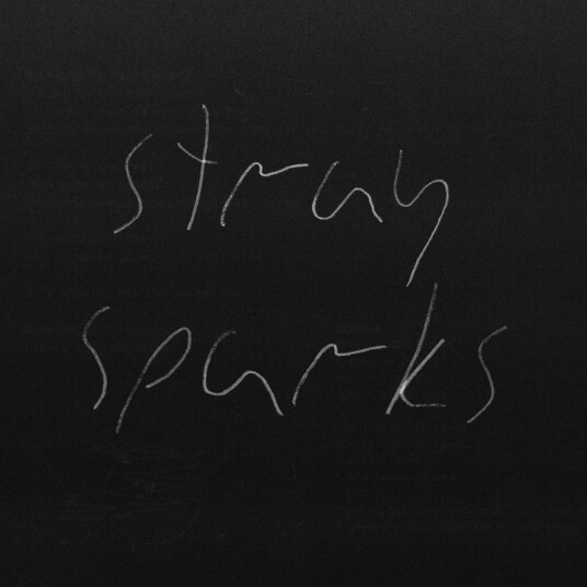 The Goodbye Party  Stray Sparks  Kassett
