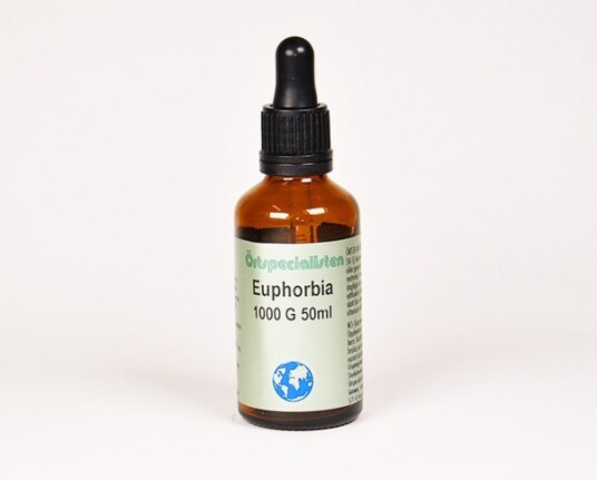 EUPHORBIA EUPHORBIA