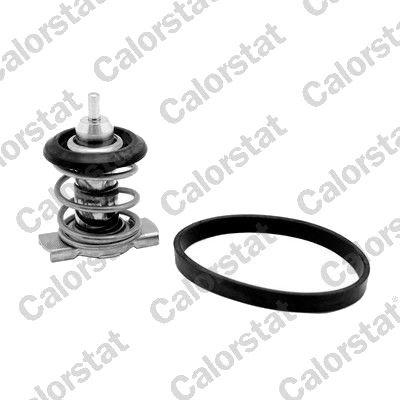 Termostat CALORSTAT by Vernet TH9283.88J