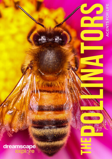 Dreamscape Explore: The Pollinators Agents For Life DVD