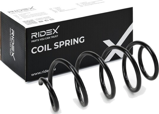 RIDEX 188C1563 Fjær