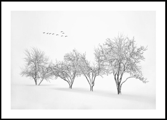 White World Plakat Plakat / 21x30cm