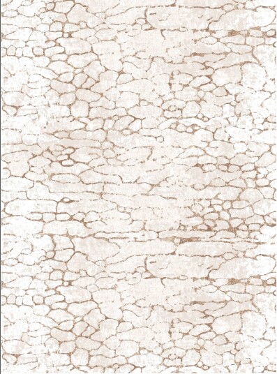 Wilton teppe Zinta beige Størrelse: 160 x 230 cm