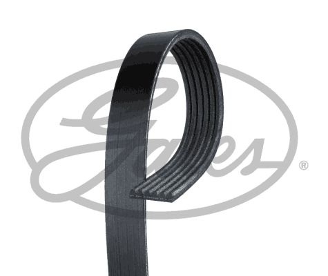Kilerem GATES 6PK1010 Kilerem GATES 6PK1010