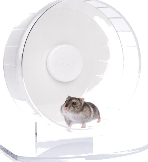 Niteangel Super Silent Hamsterhjul Hvit M
