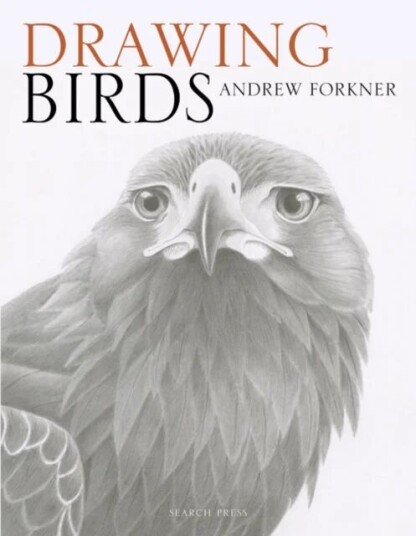 Drawing Birds Av Andrew Forkner