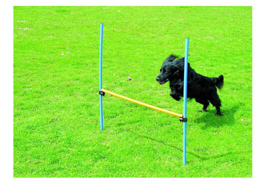 Pawise Agility Hurdle 116Cm Height (636.9002) Pawise Agility Hurdle 116Cm Height (636.9002)