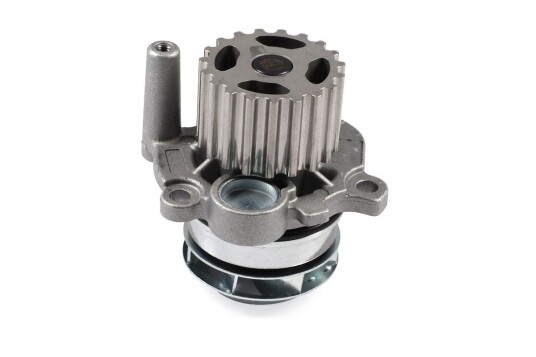 HEPU P550 Vannpumpe
