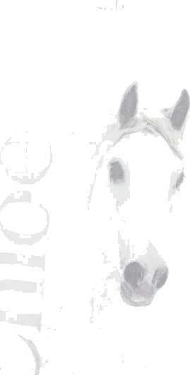 Chloé Dame Topper Hvit M, Chloé Dame Topper Hvit M,