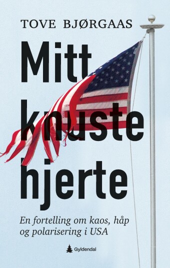Mitt knuste hjerte