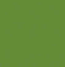 Serviet 40X40cm 3 Lag Leaf Green,125 Stk/Pk Serviet 40X40cm 3 Lag Leaf Green,125 Stk/Pk