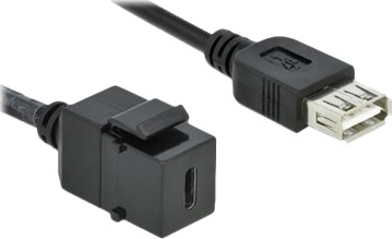 Delock Modulinnlegg Usb-Type C Svart