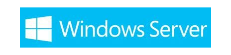 Microsoft Windows Server 2019 Standard - lisens - 5 klienter, 16 kjerner