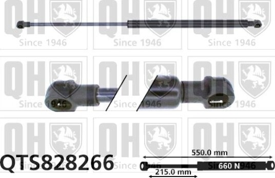 QUINTON HAZELL QTS828266 Baklukedemper