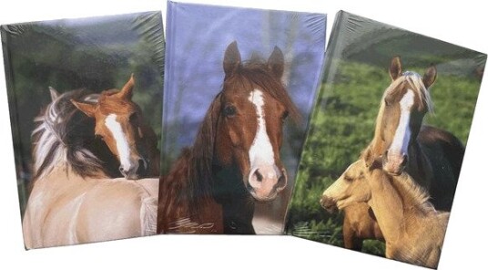 Hobby Mate Notebook A5 126*180mm. Horse motif.100254 Hobby Mate Notebook A5 126*180mm. Horse motif.100254
