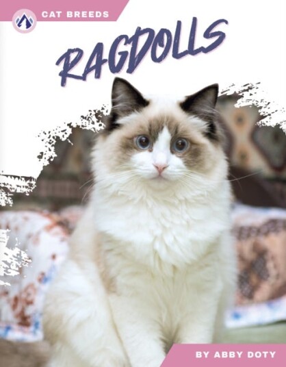 Cat Breeds: Ragdolls Cat Breeds: Ragdolls
