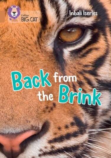 Back from the Brink Band 12/Copper